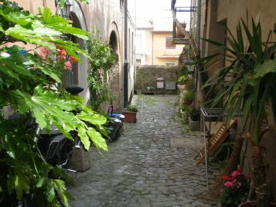 ea_P5220066_JPG