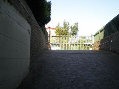 ea_P4220102_JPG