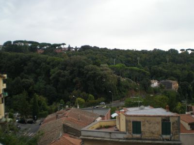ea_P9080085_JPG