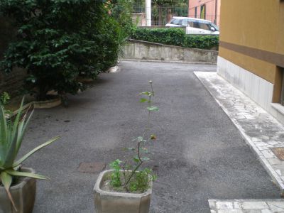 ea_P9080086_JPG